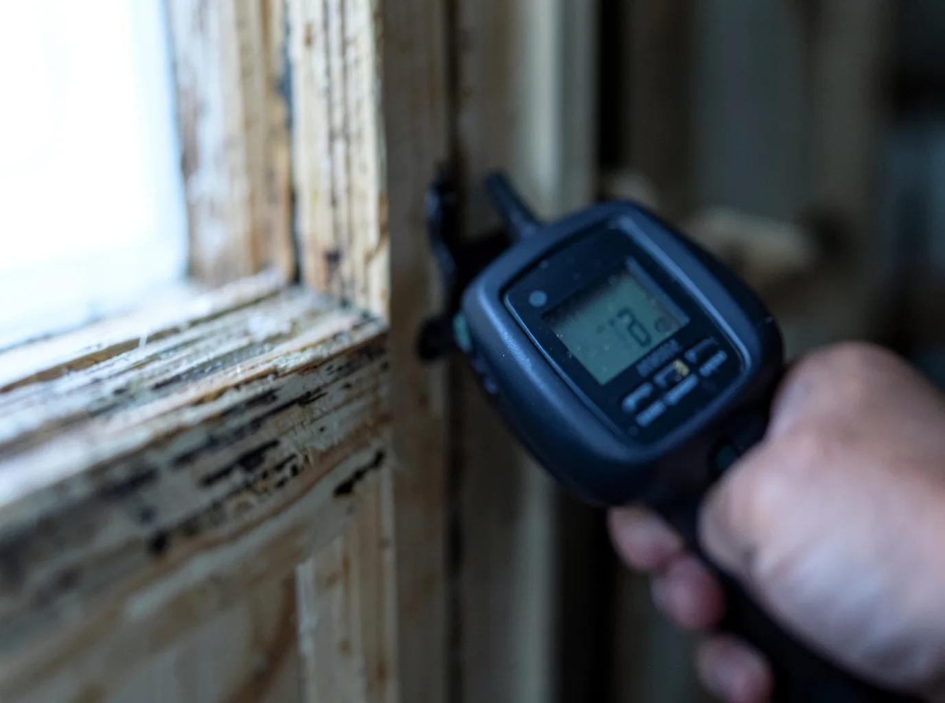 Moisture Inspection And Documentation in Sherwood, MI